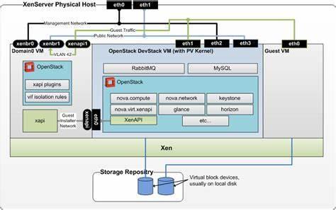 Which company developed the popular open-source hypervisor software, Xen?