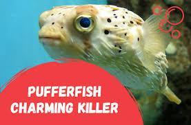 What unique defense mechanism is possessed by the pufferfish?