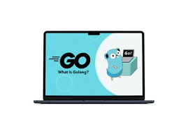 Which company created the Go programming language?