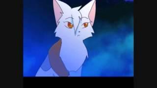 Who did Firestar admire?