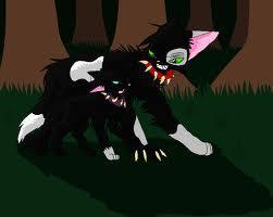 Warrior Cats Scourge Quizzes