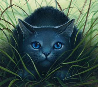 What was Bluestar's name before she became leader?