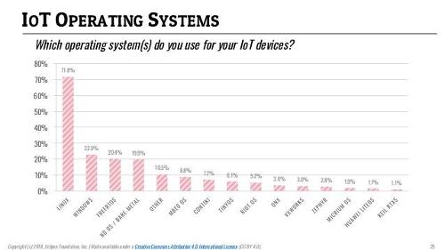 Which operating system is popular among developers for its flexibility?