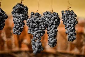 What is the term for wine made from dried grapes?