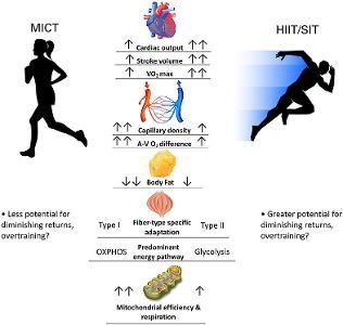 Which of the following is not a benefit of strength training?