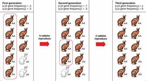 Which of the following is a mechanism of evolution?