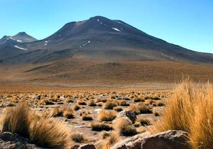 Which is the driest desert on Earth?