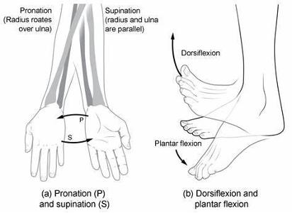 Which dance move involves rapidly moving one foot forward and back while the other foot remains planted?