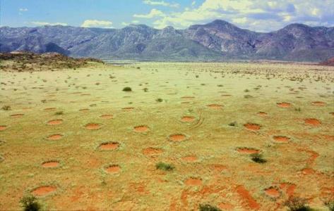 Which desert is known for its 'Fairy Circles'?