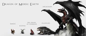 What is the name of the dragon species in J.R.R. Tolkien's Middle-earth legendarium?