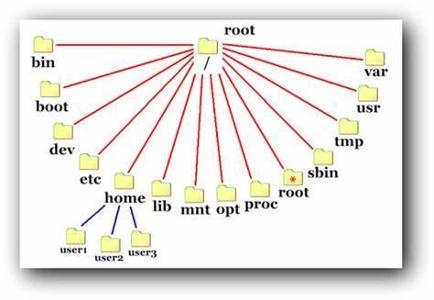 What is the main purpose of a file management function in an operating system?