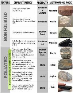 Which type of rock typically contains fossils?