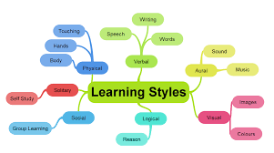 What describes your learning preference?