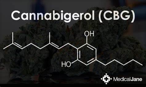 What is the term for a non-intoxicating cannabinoid found in cannabis?