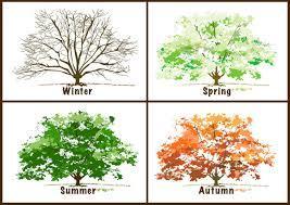 What is your favorite season?