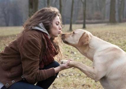 What is my relationship with my pet?