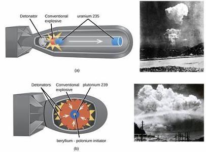 What does the principle of explosion state?