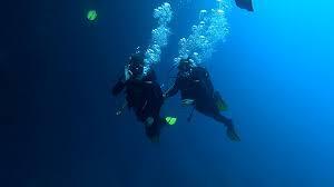 What's your ideal underwater activity?