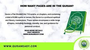 How many chapters does the Quran contain?