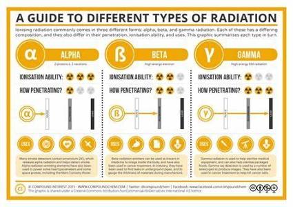 What is your instinctive reaction to danger?