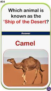 Which animal is often referred to as the 'Ship of the Desert'?