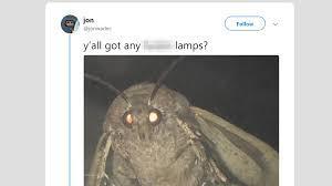 Which meme features a moth with a strong attraction to what object?