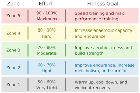 What is the formula for estimating maximum heart rate?