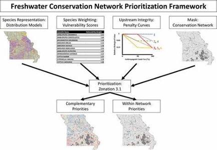 How do you prioritize tasks in a conservation project?