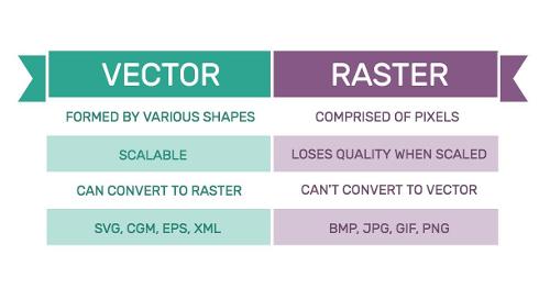 What is the difference between vector graphics and raster graphics in motion design?