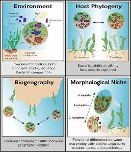 What is the study of the relationships between organisms and their environments?