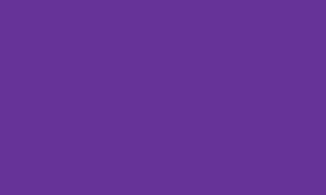 Purple/dignified colors