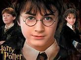 The really strange,random,awkward,crazy and silly retelling of Harry Potters life