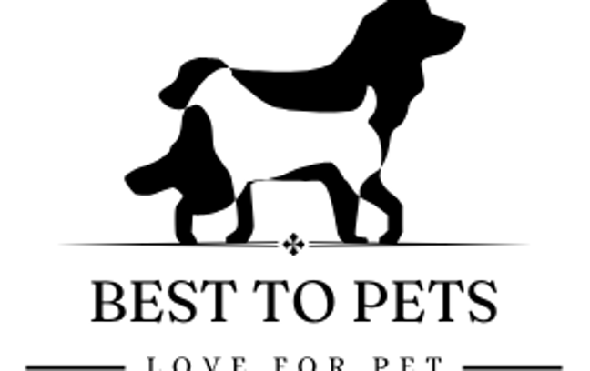 BestToPets: Elevating Pet Care Beyond Boundaries