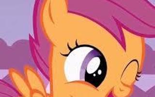 Scootaloos life!