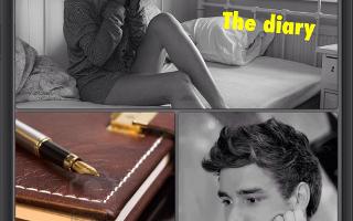 The diary (One direction Fan Fic)