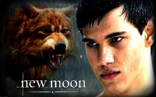 Silver Sky (Jacob Black Love Story)