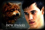 Silver Sky (Jacob Black Love Story)