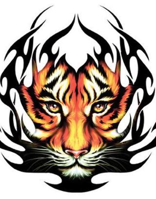 The Tiger Tribe