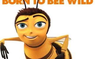 the entire bee movie script