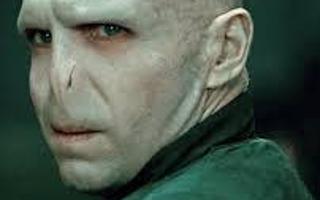 Voldy Is Moldy