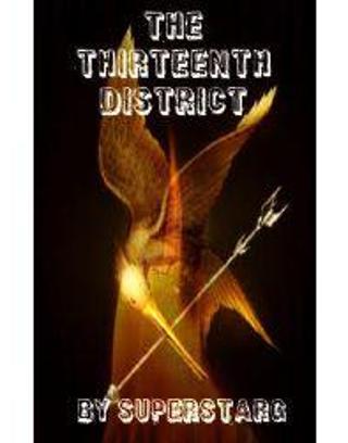 The Thirteenth District