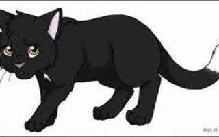 Zodiac (warrior cats)