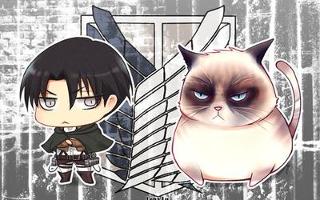 Levi and his cats