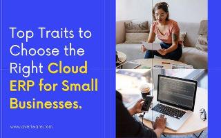 Choose the Right Cloud ERP for Small Businesses