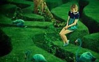 Maze In wonderland