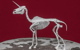 Skeleton Unicorn