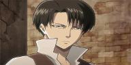 Levi x Reader