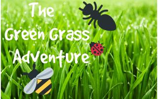 The Green Grass Adventure