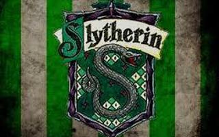 Secret Life of A Slytherin