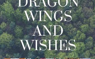 Dragon Wings and Wishes